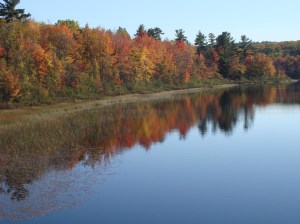 Northern Michigan at it Best!